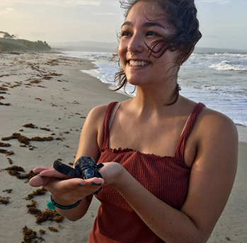 Student holding a sea turtle on the beach
